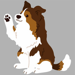 Flat colored simple Shetland Sheepdog sitting and waving