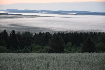 Fog over the Appalachians on a chilly July morning, Sainte-Apolline, Québec, Canada