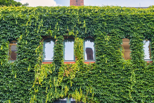 Market town Kulturbrauerei in Pankow Berling, Germany