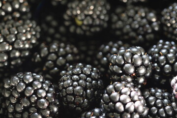 Blackberries, blackberry fruits background.