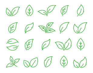Obraz na płótnie Canvas green set icons hand drawn leaves and branches