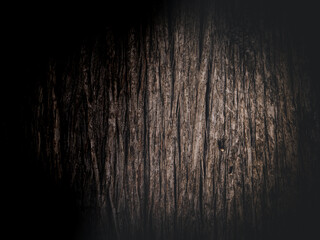 Fototapeta premium Closeup of pine bark