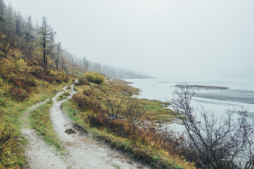 Scenic autumn landscape with motley plants and footpath along mountain lake in dense fog. Atmospheric scenery with pathway through hill with lush autumn flora near water in thick fog in rainy weather.
