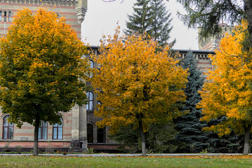 Autumn city landscape on a sunny day. An old building stands behind trees with green and orange leaves. Colorful autumn.