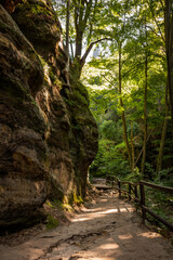 Wanderweg in der sächsisch-böhmischen Schweiz Wandern Bäume Wald Natur Sport Felsen Berg