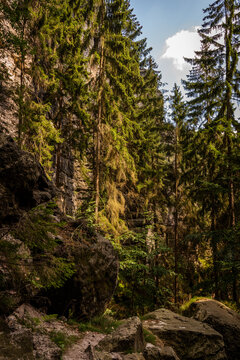 Wald Natur Wandern Felsen Wild Idyllisch © Kim