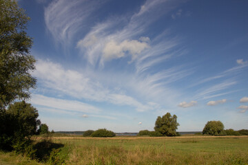 Fototapeta na wymiar Feld blauer Himmel schön Sommertag Wolken