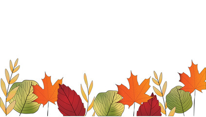 Bright colored autumn leaves along bottom of illustration on white background. Fall, seasonal, Thanksgiving. Copy space.