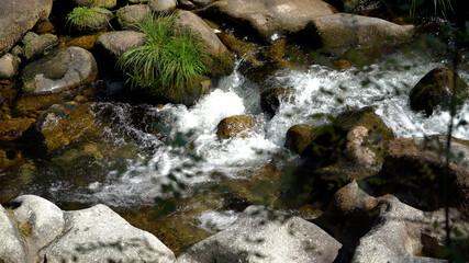 rio - água - natureza 
