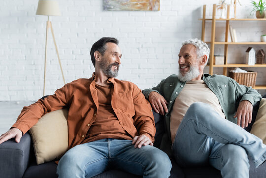 Smiling homosexual partners talking on couch