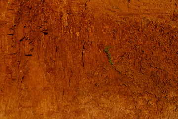 Geology. Desert landscape. Panorama view of the sandstone formation, the rocky cliffs, sand. Background or texture of sandy cliff on the coast, orange limestone