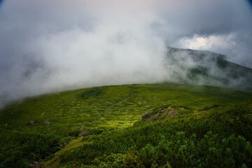 トムラウシの湿原