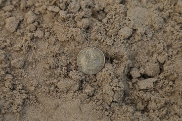 Vintage silver coin on the ground