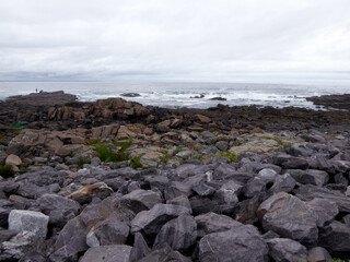 Fototapeta na wymiar Coast with rocks, plants, trees and waves of Atlantic Ocean. Shore on a cloudy day