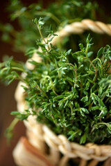 Basket with fresh herb thyme on brown wooden background. Soft focus