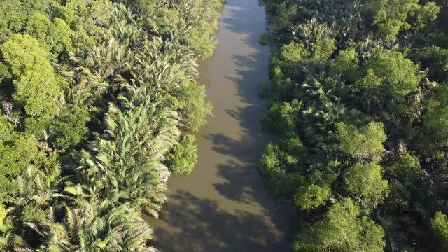 Aerial look down the Sungai Jawi river with Nipah tree grow.