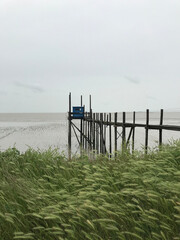 fence on the beach