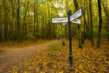 Street Pillar With Navigation Signs With Texts In Autumn Park.