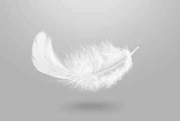 Down Feathers. Soft White Fluffly Feather Falling in The Air. Swan Feather on Gray Background.	