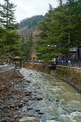 Fototapeta na wymiar Park in the city of Borjomi. The mountain river flows through
