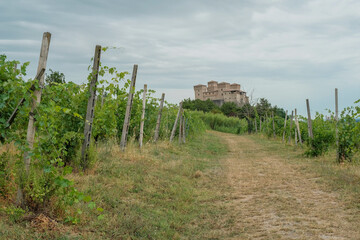 Fototapeta premium Castle Torrecchiara in Langhirano, Italy across vineyards. Rows of vineyards in region country. Winery, mine making industry