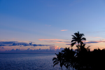 Obraz premium A picture perfect Florida Keys Sunrise with silhouetted palm trees from the top of the old seven mile bridge