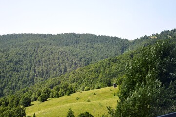 green mountain landscape in summer