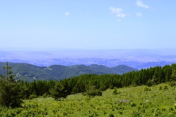 green mountain landscape in summer