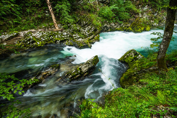 Clear mountain stream rapids with green blue water in the forest