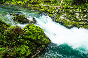Clear mountain stream rapids with green blue water in the forest