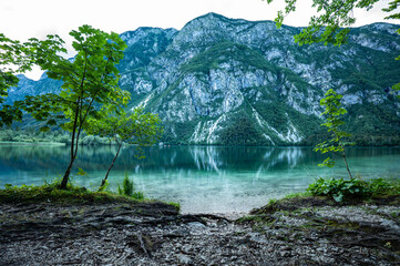 At the shore of crystal clear Lake Bohinj in Slovenia 