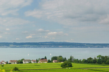 Obraz premium Vineyard with clouds, beautiful village and lake in the background