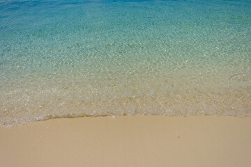 The crystal clear and shallow waters on the islands of the tropical Dry tortugas