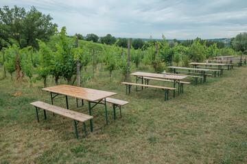 Wooden tables and chairs in the vineyards. Restaurant in the winery. Travel, gastrotourism