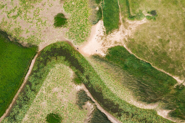 Aerial of Lake Cerknica (Cerkniško jezero) during the dry period in summer