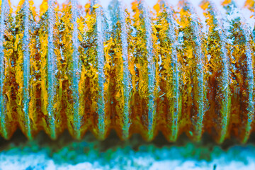 Abstract macro photo of a rusty screw. 