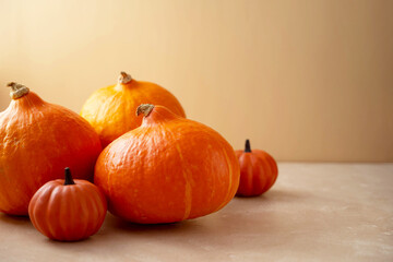 Pumpkins on bright background. Autumn concept and Halloween.