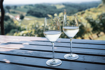 Two glass of white wine on a table in the vineyards