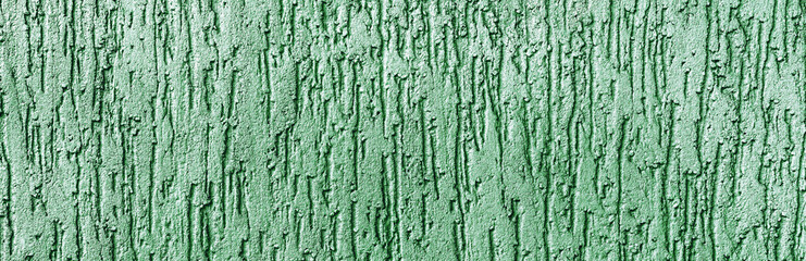 Textured surface coat plaster walls green color. Panorama. Banner.	