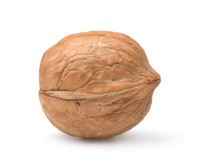 Side view of whole walnut