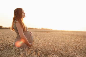 beautiful young pregnant woman walks on wheat field at sunset, expectant mother with relax in...