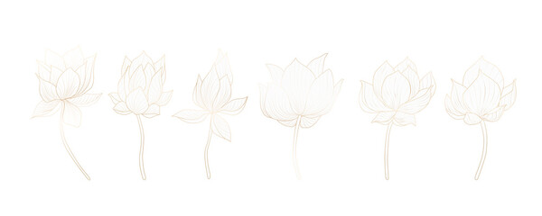 Set of lotus flowers in white for decoration of invitations, web banners, social networks. - obrazy, fototapety, plakaty