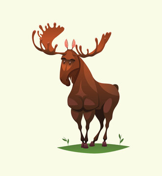 Moose character isolated vector illustration