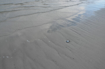 Sandstrand an der Ostsee