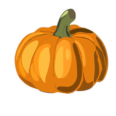 pumpkin isolated on white background 