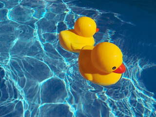 Close up of two yellow rubber ducks floating in clear water in a backyard swimming pool facing away from each other