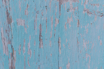textured old wooden background with remnants of blue paint and scratches. pine plank barn wall for design and lettering. Copy space