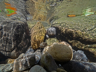 Sunlight reflection on rocks underwater