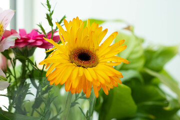 Festive bouquet on March 8th. International Women's Day. Mom's holiday