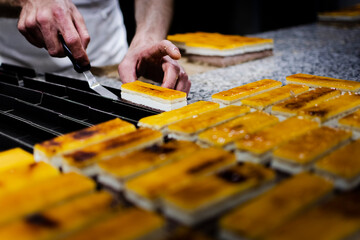 Hands of white male pastry chef hands of haute cuisine cake design, cutting and placing cakes of chocolates, cream and cream by hand. Close up view